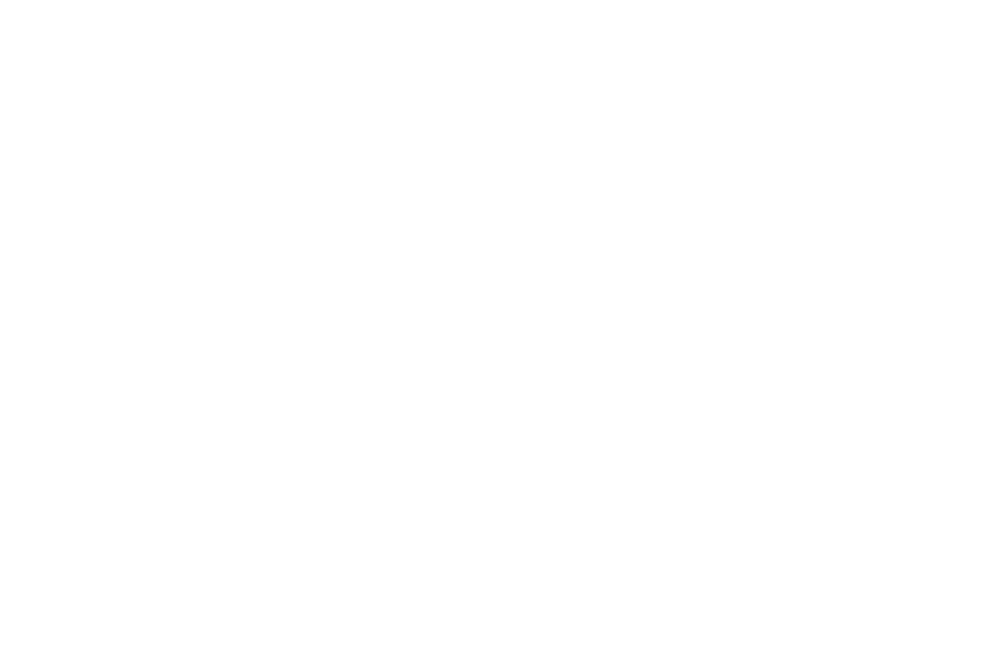 Lone-Peak Logo